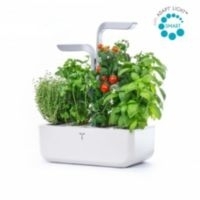 Jardin int VERITABLE Smart Arctic White