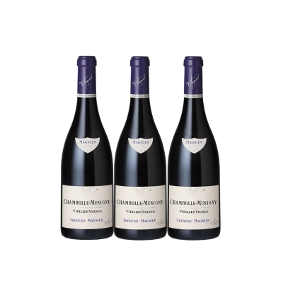 Cave 3 Chambolle Musigny Magnien 2015