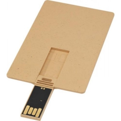 Clé USB biodégradable rectangulaire en forme de carte de crédit