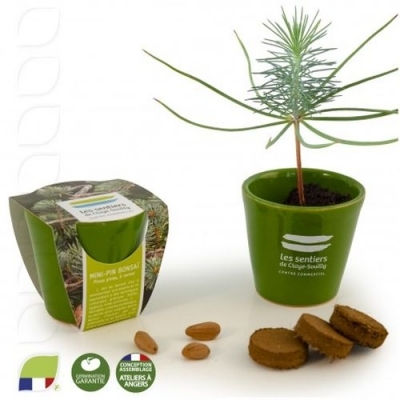 Kit de plantation 75mm Mini bonsai pot céramique vert