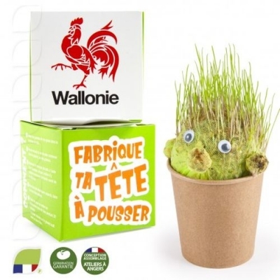 Kit de plantation 60mm carton tete à  pousser DIY